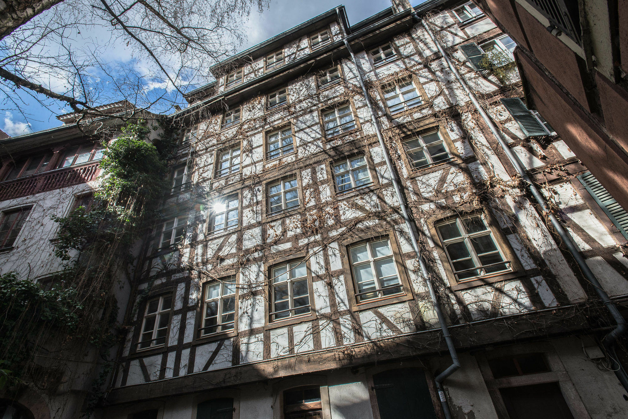 Appartement Des Moulins Estrasburgo Exterior foto